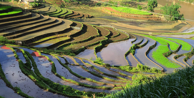 [Photo] Vẻ đẹp ruộng bậc thang mùa nước đổ tại xã vùng cao Y Tý ảnh 3