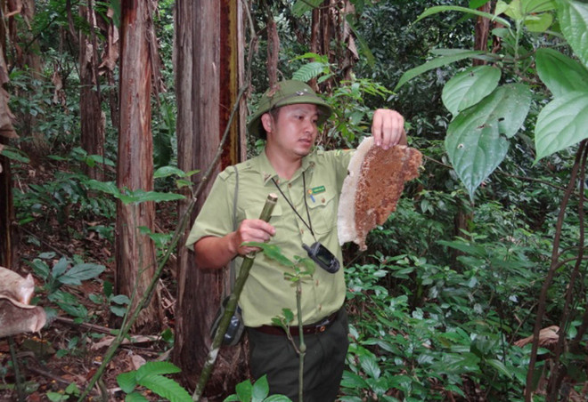 Phát hiện 14 Gấu ngựa và 69 Cầy vằn Bắc quý hiếm tại Thanh Hóa ảnh 2