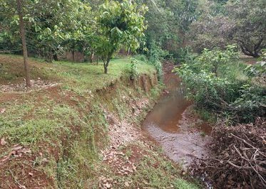 Bình Phước: Cháu bé 2 tuổi tử vong dưới suối nghi do đuối nước ảnh 1