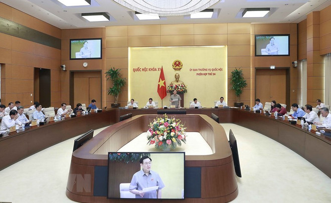 Quan tâm hơn nữa hoạt động giám sát theo lĩnh vực phụ trách ảnh 2