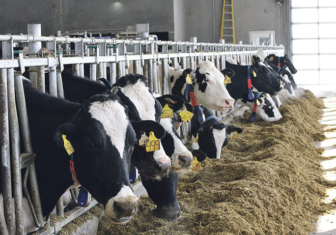 Lý do Mỹ và Canada khó có thể đạt được thỏa thuận NAFTA mới ảnh 1