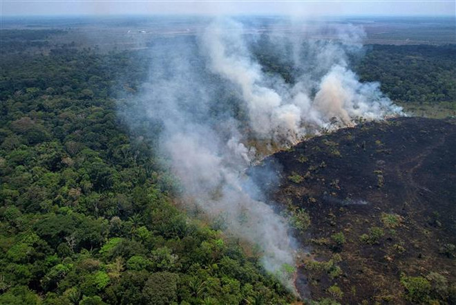 Khói bốc lên từ đám cháy rừng Amazon ở bang Amazonas, Brazil ngày 31/8/2022. (Ảnh: AFP/TTXVN) Tân Tổng thống Brazil và hành trình trở lại quỹ đạo phát triển ảnh 3
