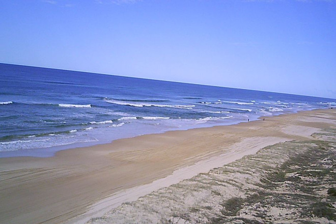 Australia truy tìm tàu gây tràn dầu ở di sản thế giới đảo Fraser ảnh 1