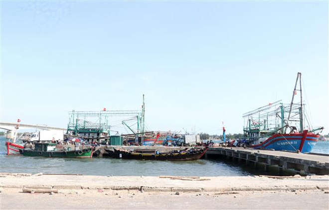 Hai cảng cá lớn nhất Quảng Trị đứng trước nguy cơ bị đóng cửa ảnh 3