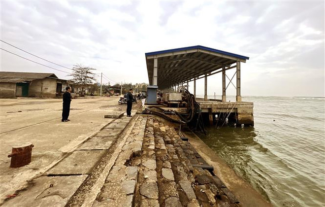 Hai cảng cá lớn nhất Quảng Trị đứng trước nguy cơ bị đóng cửa ảnh 4