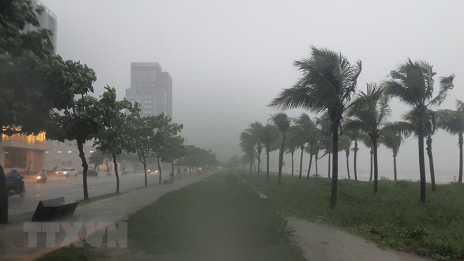 Mưa lũ ở khu vực miền Trung diễn biến phức tạp, có nơi lượng mưa 800mm ảnh 1