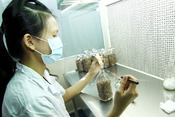 Ảnh chỉ có tính minh họa. (Ảnh: Vũ Sinh/TTXVN) Phát triển khoa học cơ bản: Nhiều nút thắt cần phải tháo gỡ ảnh 1