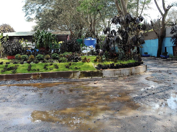 Người dân trong khu vực rò rỉ khí amoniac cần phòng ngừa ngộ độc ảnh 1