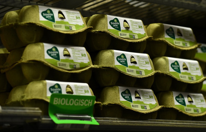 Các trại nuôi gà Hà Lan "méo mặt" do vụ bê bối trứng bẩn ảnh 1