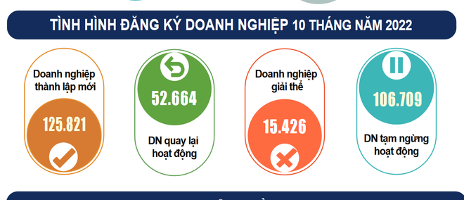 Bình quân một tháng hơn 12.000 doanh nghiệp rút lui khỏi nền kinh tế ảnh 2