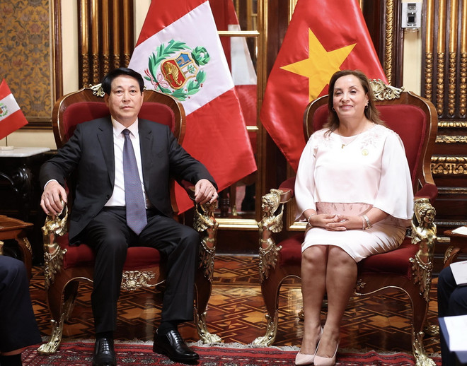 TTXVN_1411 Chu tich nuoc Viet Nam Peru 4.jpg