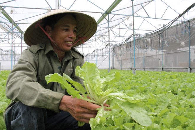 Đồng Nai: Lấy giá trị làm chiến lược phát triển nông nghiệp ảnh 1