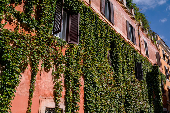 Nhà dây leo bao quanh của Italy. (Nguồn: Bloomberg) 4 thiết kế làm mát tự nhiên cho nhà ở trong mùa Hè nóng nực ảnh 3