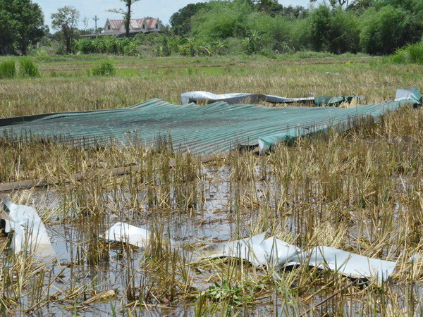 Đắk Lắk: Liên tiếp xảy ra các vụ sét đánh làm 2 người thương vong ảnh 1