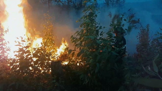 Phú Yên: Cháy rừng quy mô lớn, chưa khống chế được ngọn lửa ảnh 1