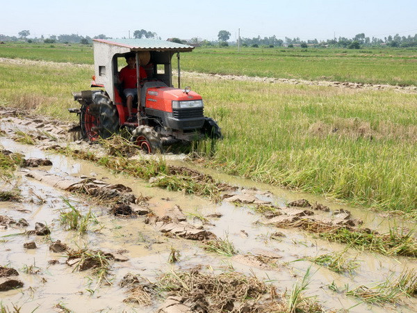 Cần tầm nhìn thống nhất trong đầu tư PPP nông nghiệp ảnh 1
