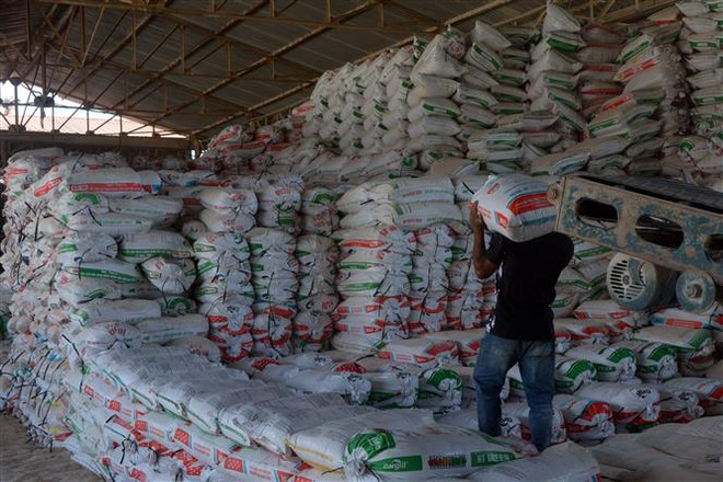 Lâm Đồng: Đình chỉ doanh nghiệp 10 năm khai thác lậu cao lanh ảnh 1