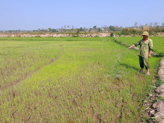Nhiều “hạt sạn” tại công trình chống hạn hơn 32,5 tỷ đồng ở Đắk Nông ảnh 3