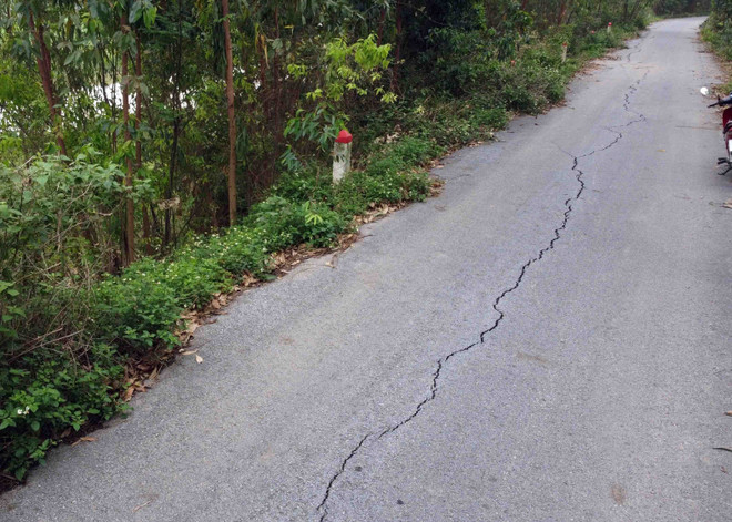 Nhiều vết nứt kéo dài xuất hiện dọc thân đê, có vệt dài 5 mét, 10 mét đến vài chục mét, có đoạn kéo dài cả trăm mét chia tách mặt đê. (Ảnh: Hoàng Hùng/TTXVN) TTXVN_2704nutde3.jpg