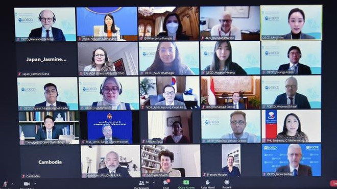 Việt Nam lần đầu được đề cử cương vị Đồng Chủ tịch SEARP của OECD ảnh 1