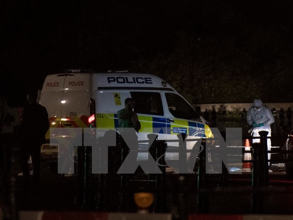 Anh bắt nghi phạm thứ hai vụ tấn công ngoài cung điện Buckingham ảnh 1