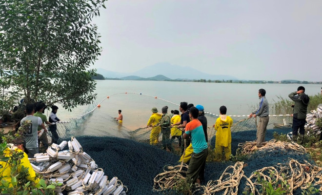 Phương pháp lưới vét, thu lưới kiểm tra rùa Chuyện về người đi tìm ‘hậu duệ’ cho loài rùa Hoàn Kiếm ảnh 7
