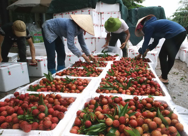 Đi tìm 'con át chủ bài' để đẩy mạnh tiêu thụ nông sản Việt ảnh 2