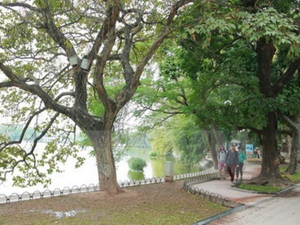 Không khí lạnh suy yếu, miền Bắc nhiệt độ tăng nhẹ từ 1-2 độ C ảnh 1