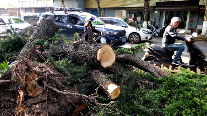 Trung Quốc: Bão mạnh ở Giang Tô làm hơn 100 người thương vong ảnh 1