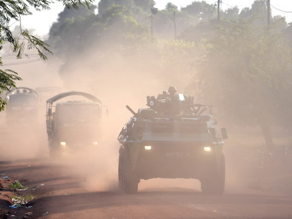 LHQ trừng phạt nhiều nhân vật lãnh đạo Cộng hòa Trung Phi ảnh 1