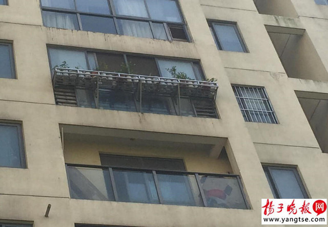 Cậu bé 3 tuổi sống sót thần kỳ sau khi rơi từ tầng 15 xuống đất ảnh 2