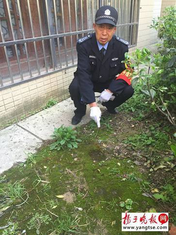 Cậu bé 3 tuổi sống sót thần kỳ sau khi rơi từ tầng 15 xuống đất ảnh 3