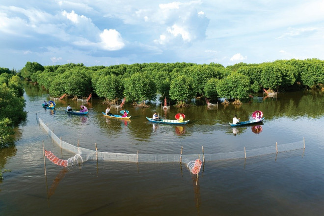 Đồng bằng sông Cửu Long kết nối hành lang đô thị công nghiệp toàn vùng ảnh 2