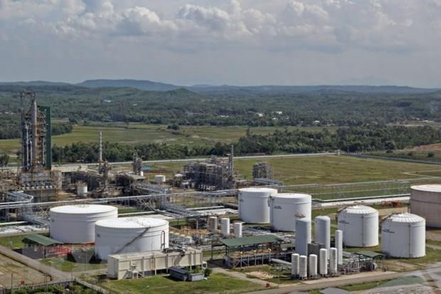 Công bố báo cáo tài chính kiểm toán của Lọc hóa dầu Bình Sơn ảnh 1