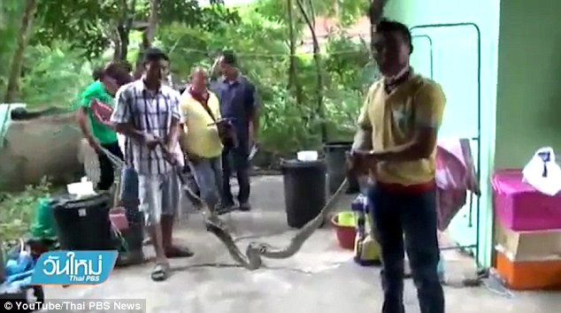 Người phụ nữ đen đủi bị con trăn dài 4m tấn công trong nhà vệ sinh ảnh 1