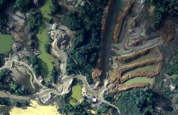 Chung tay hành động vì sự sống của thiên nhiên và con người ảnh 1