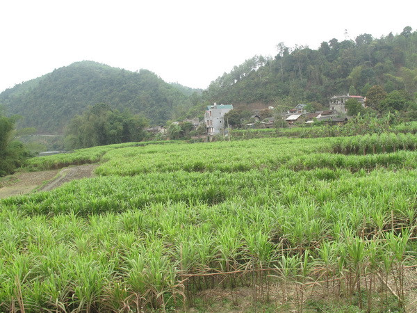 WB thông qua khoản tín dụng 100 triệu USD giúp Việt Nam giảm nghèo ảnh 1