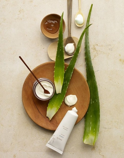 Những "thủ phạm" chính gây ra mụn mà bạn không thể ngờ tới ảnh 9