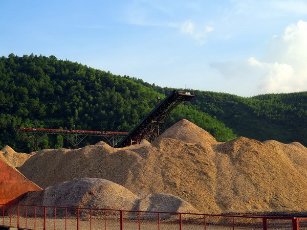 Kim ngạch xuất khẩu dăm gỗ năm 2016 sẽ sụt giảm tới 1/2 ảnh 1