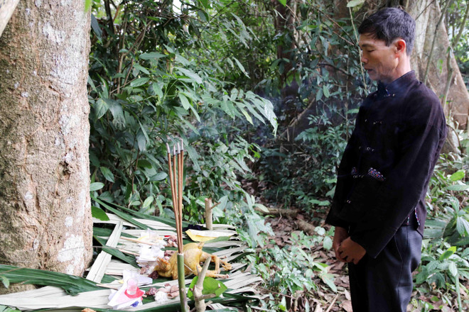 Lễ cúng rừng - nét văn hóa độc đáo của người Lự ở Lai Châu ảnh 1