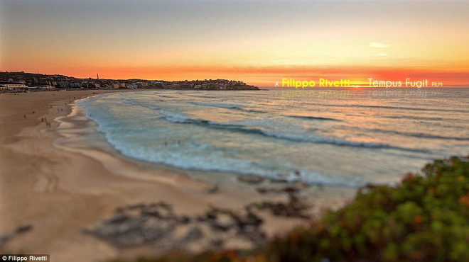 Hình ảnh "có một không hai" về một Sydney sôi động ảnh 5