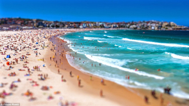 Hình ảnh "có một không hai" về một Sydney sôi động ảnh 2