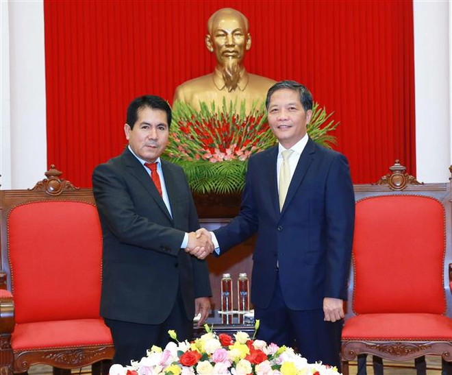 Nâng cao hiệu quả hợp tác giữa hai Đảng Cộng sản Việt Nam và Peru ảnh 1