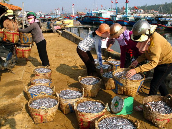 Tàu dịch vụ hậu cần nghề cá tiếp sức để ngư dân bám biển ảnh 1