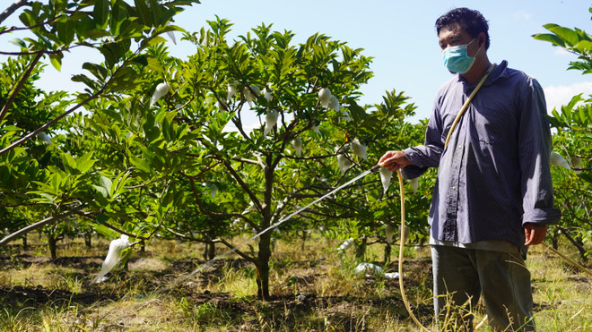 Tây Ninh: Ngày càng khẳng định thương hiệu các sản phẩm OCOP ảnh 3