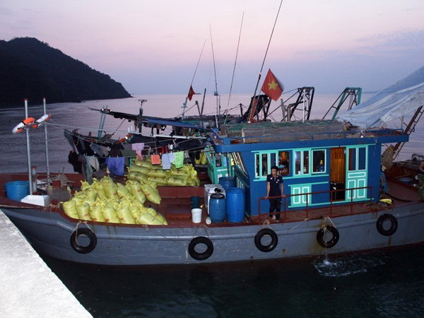 Tàu cá vi phạm bị bắt giữ cùng tang vật. (Ảnh: Trung Nguyên/TTXVN) Quảng Ninh: Bắt giữ 8 tàu khai thác thủy sản trái phép ảnh 1