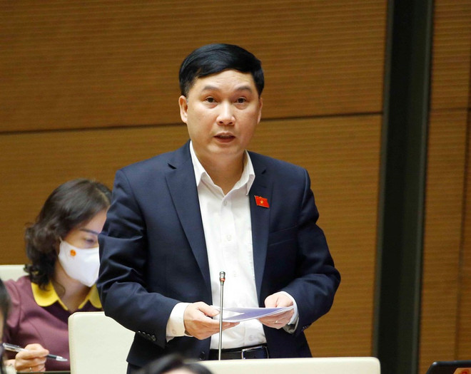 Không thu hẹp xử phạt vi phạm hành chính xâm phạm sở hữu trí tuệ ảnh 1