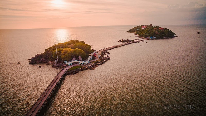 Khám phá những khu rừng ngập mặn tại vùng đất cực Nam Cà Mau ảnh 2