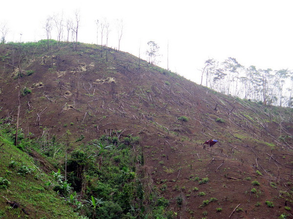 Lại tiếp tục xảy ra hiện tượng rung lắc nhẹ tại Mường Nhé ảnh 1