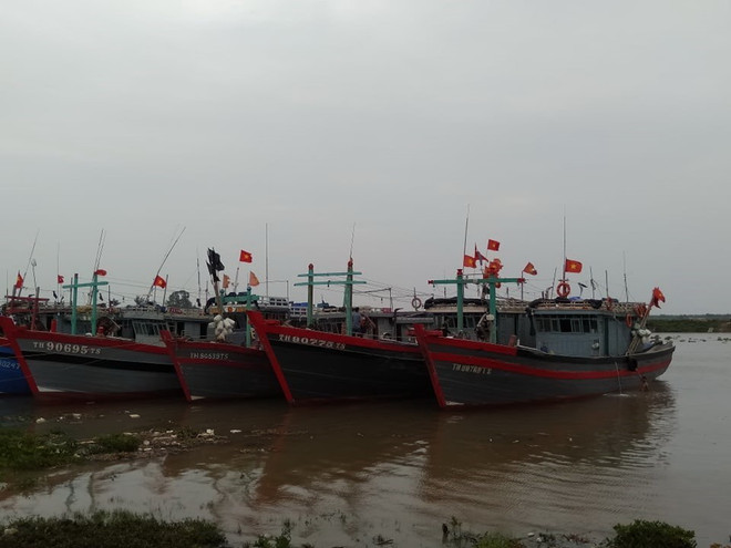 Phó Thủ tướng chỉ đạo tập trung ứng phó khẩn cấp với bão số 7 ảnh 1